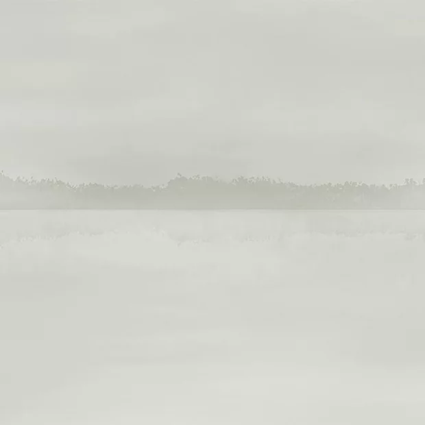 River Silver (Vinyl) 280x390 cm