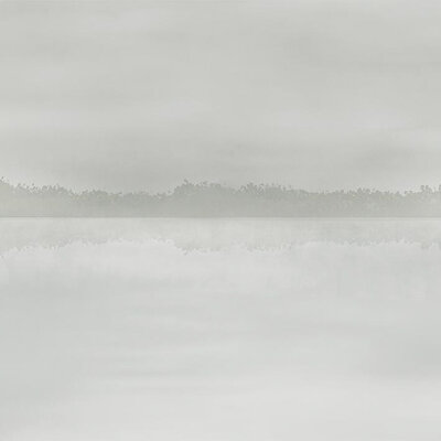 River Steel (NWF) 280x416 cm