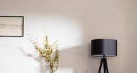 Rivoli 80x80
