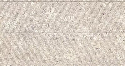 Spiga Coral Caliza