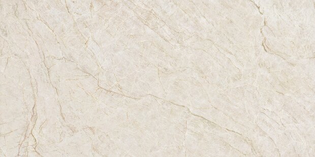 Taj Mahal Polished 160x320