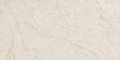 Taj Mahal Polished