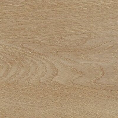 Tanzania Nut 23x150