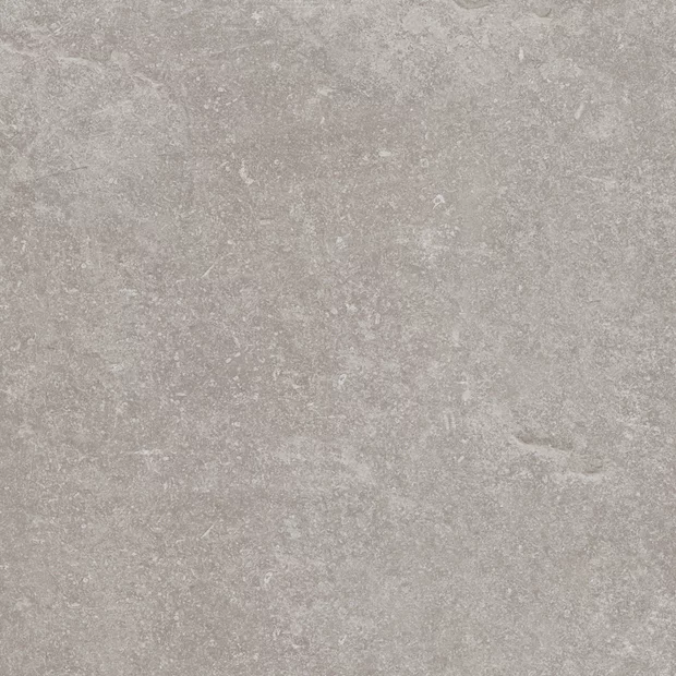 Verbier Silver 59,6x59,6