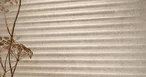 Verona Bone Lineal 59,6x150
