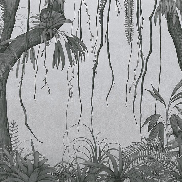 Vines Black (NWF) 280x416 cm