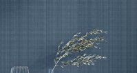 Woven Saphire 70x1000